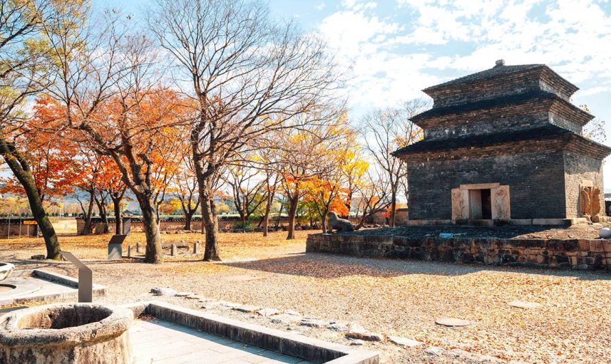 고대 절에서의 무행: 부산의 역사적 건축물과 문화 유산 탐험